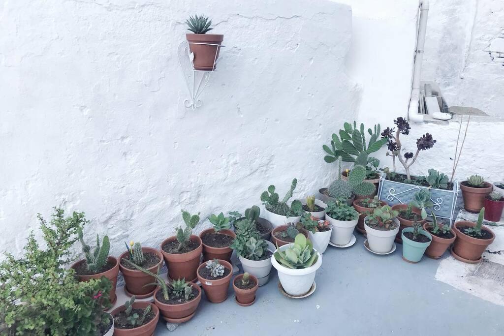 Little Cactus Villa Serifos Town ภายนอก รูปภาพ